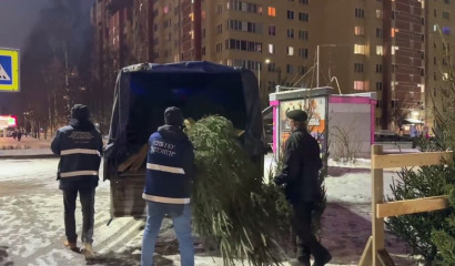 Контролеры в Петербурге разогнали 8 нелегальных елочных базаров