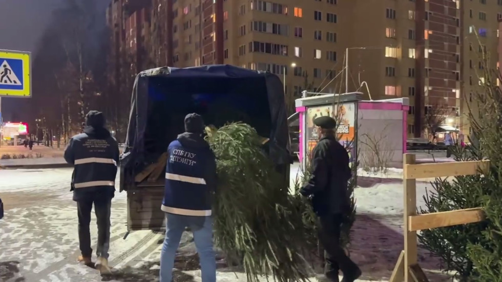 Контролеры в Петербурге разогнали 8 нелегальных елочных базаров