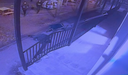 Отделочники детсада в Зеленогорске рухнули с лестницы