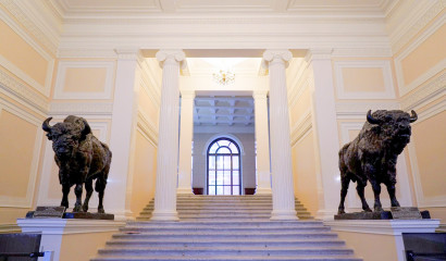 В дом Пашкова на Литейном проспекте вернулись зубры