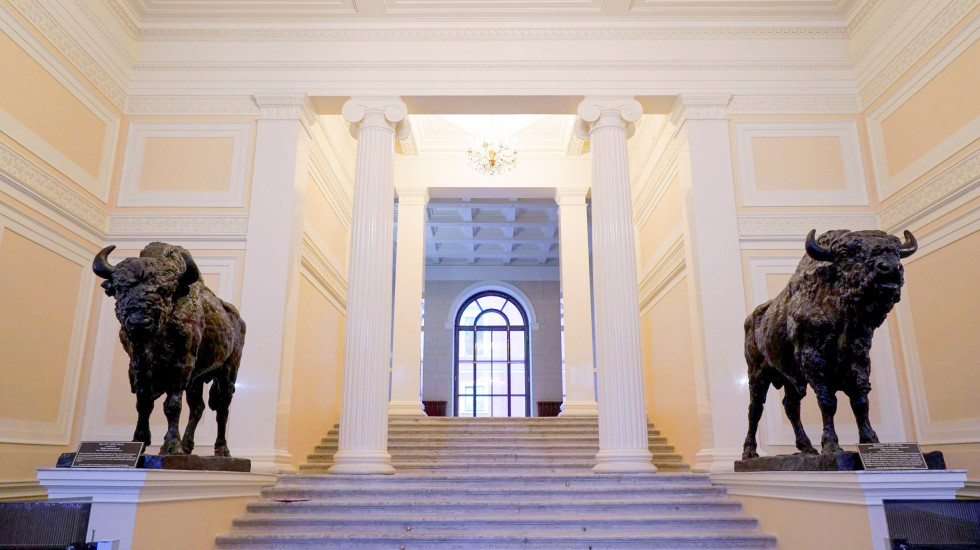 В дом Пашкова на Литейном проспекте вернулись зубры