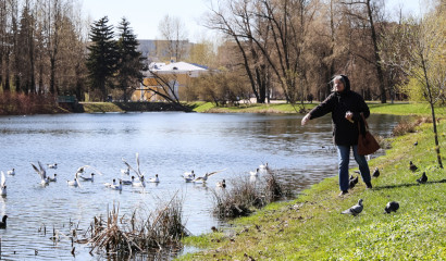 Власти Петербурга досрочно открыли парки и сады после просушки