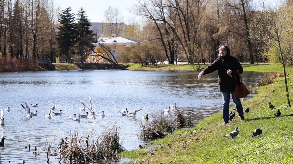 Власти Петербурга досрочно открыли парки и сады после просушки