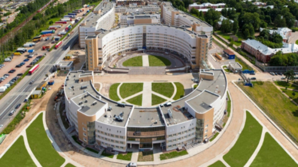 Петербург с 2020 года победит гепатит
