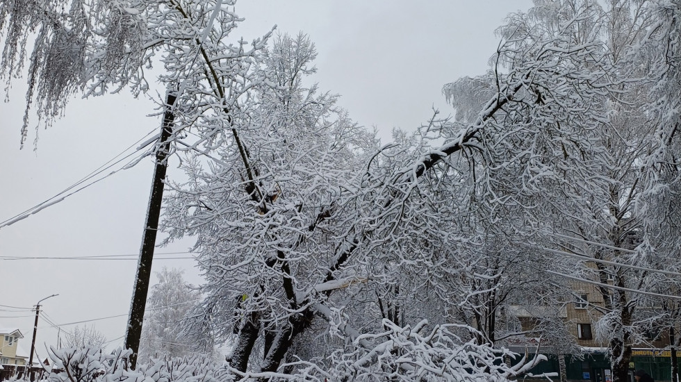 Прокуратура начала проверку после отключения света в Гатчине