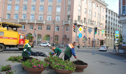Садовники Петербурга начали в январе посадку уличных цветов