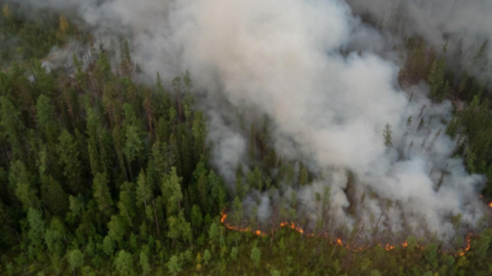 Площадь лесных пожаров в Сибири достигла максимальных с начала года 5,4 млн га