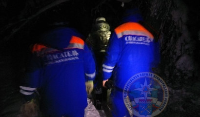 Сын потерял пожилую мать на лесной прогулке возле Вырицы