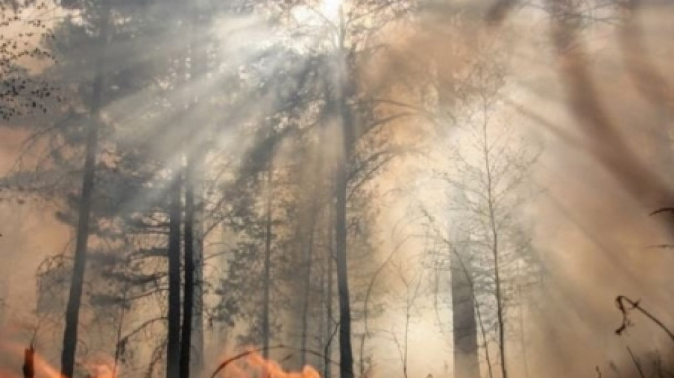 Greenpeace: площадь лесных пожаров в Сибири составляет уже 4,5 млн га