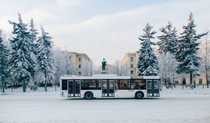 Боль упавшей пассажирки стоила петербургскому перевозчику полмиллиона