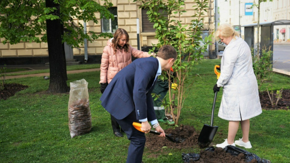 В День города чиновники и банкиры посадили сакуру