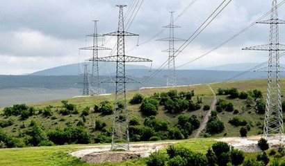 Суд обязал «Россети Ленэнерго» защитить птиц