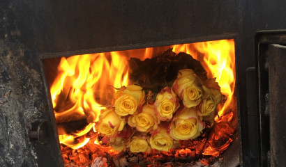 Вместо продажи 1185 цветов из Нидерландов и Колумбии уйдут в печь