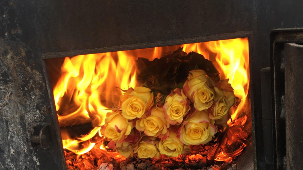 Вместо продажи 1185 цветов из Нидерландов и Колумбии уйдут в печь