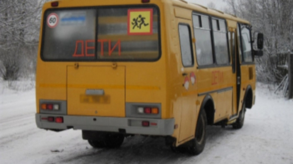 Младшеклассница в Волосово съехала с горки под школьный автобус