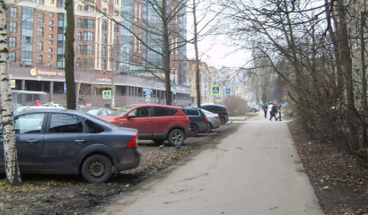 Муниципалы Петербурга стали чаще карать автопарковочные нарушения