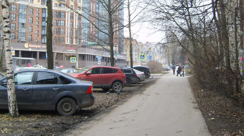 Муниципалы Петербурга стали чаще карать автопарковочные нарушения